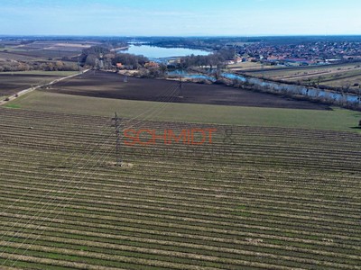 Sedlec, okres Břeclav